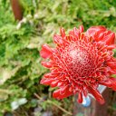 cairns (16)_DxO_DxO.jpg