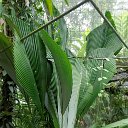 cairns (18)_DxO_DxO.jpg