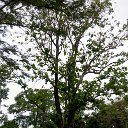 cairns (20)_DxO_DxO.jpg