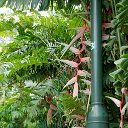 cairns (3)_DxO_DxO.jpg