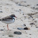 cairns (30)_DxO_DxO.jpg