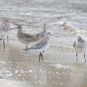 cairns (31)_DxO_DxO.jpg