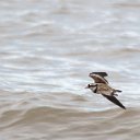 cairns (37)_DxO_DxO.jpg