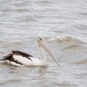 cairns (46)_DxO_DxO.jpg