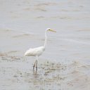 cairns (47)_DxO_DxO.jpg