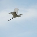 cairns (48)_DxO_DxO.jpg