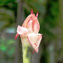 cairns (5)_DxO_DxO.jpg