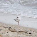 cairns (54)_DxO_DxO.jpg