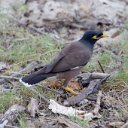 cairns (57)_DxO_DxO.jpg