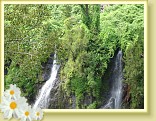 lareunion-046